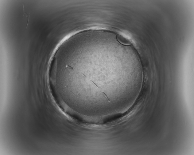 X0000087521375200704271133