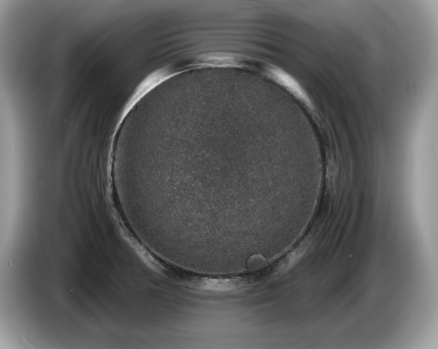 X0000087521378200704271133