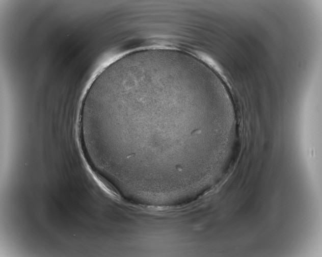 X0000087521379200704271133