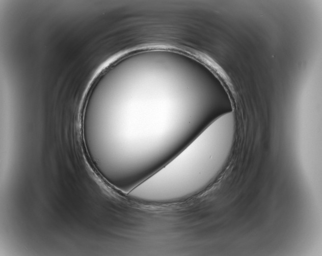 X0000087521380200704271133