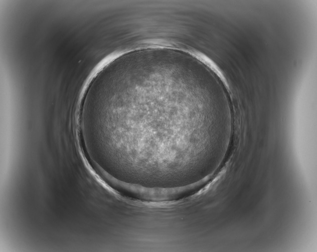 X0000087521381200704271133