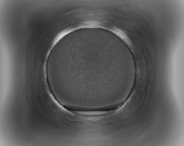 X0000087521382200704271133