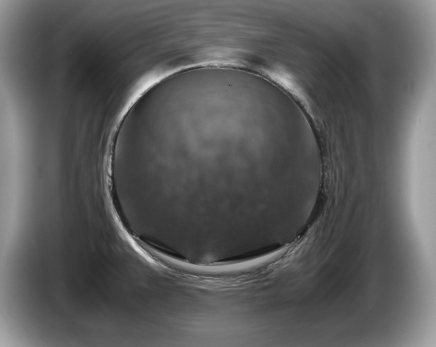 X0000087521383200704271133