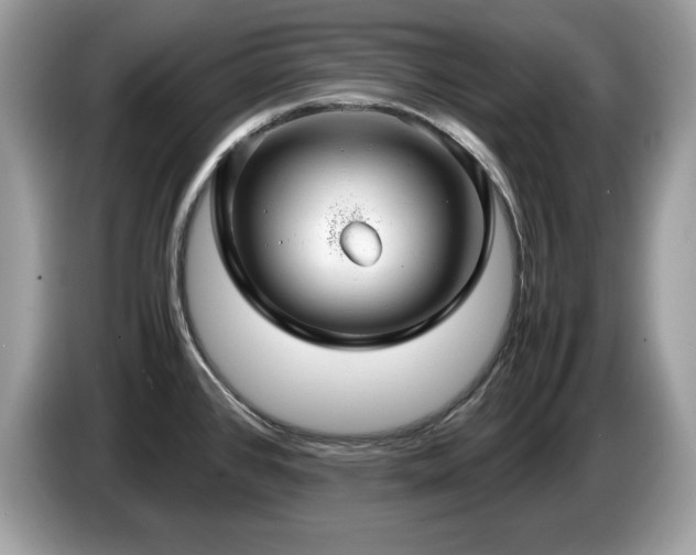 X0000087521384200704271133