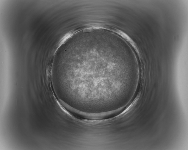X0000087521385200704271133