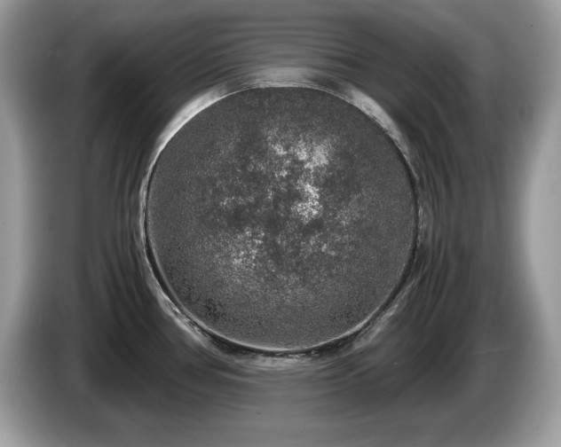 X0000087521386200704271133