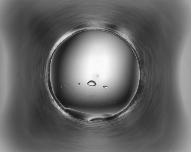 X0000087521387200704271133