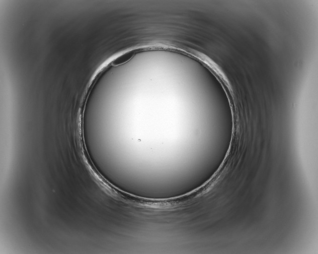 X0000087521388200704271132