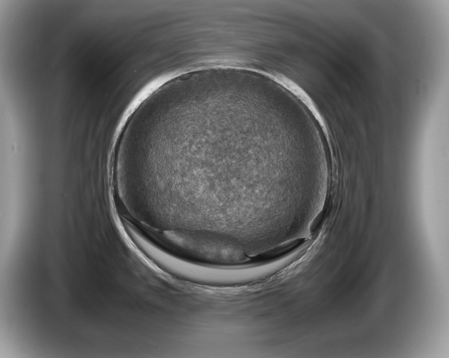 X0000087521389200704271132