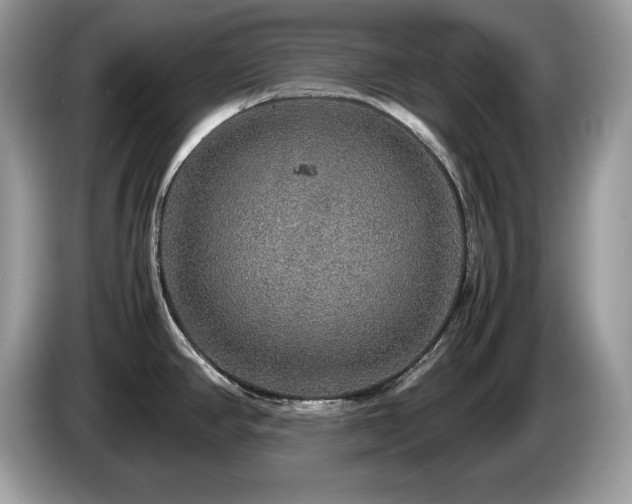 X0000087521390200704271132