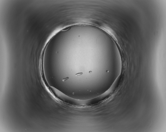 X0000087521391200704271132