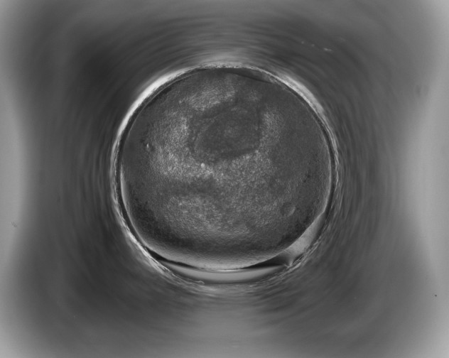 X0000087521392200704271132