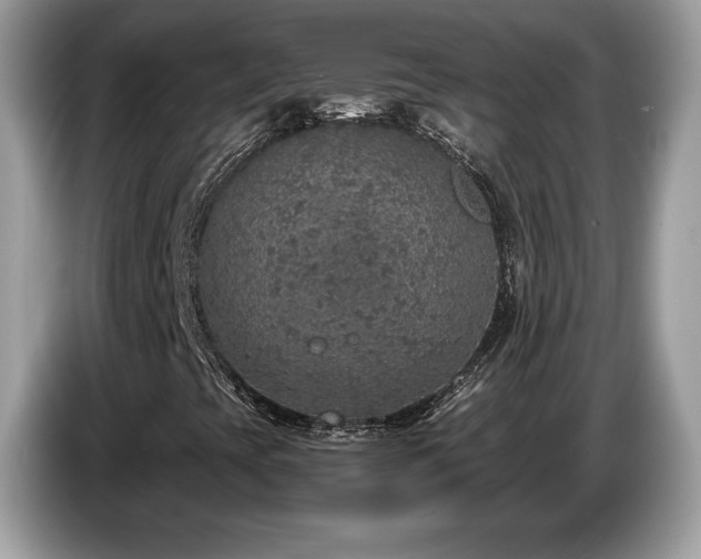 X0000087521393200704271132