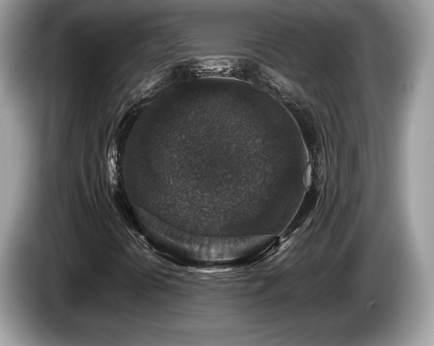 X0000087521394200704271132