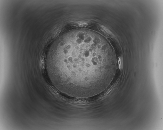 X0000087521395200704271132
