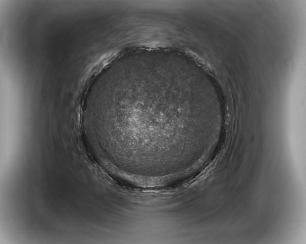 X0000087521398200704271132