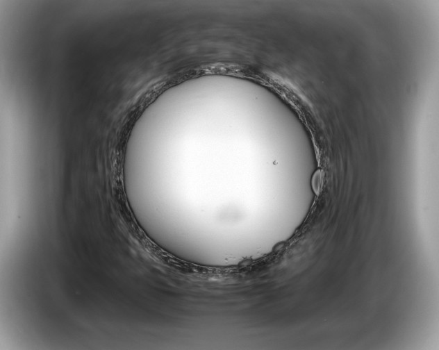 X0000087521399200704271132