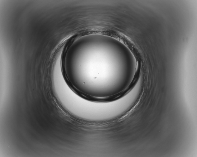 X0000087521402200704271132
