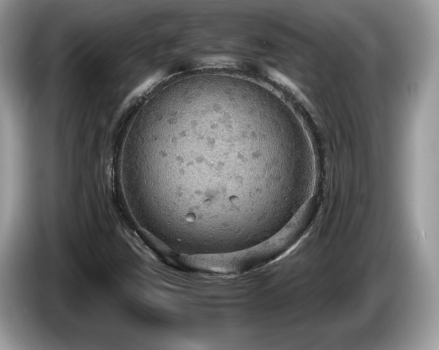 X0000087521403200704271132