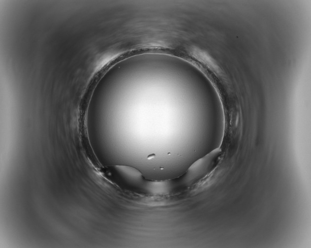X0000087521404200704271132