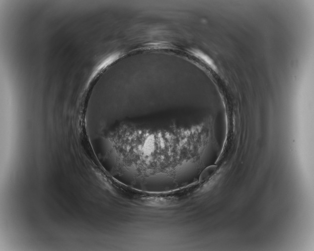 X0000087521405200704271132