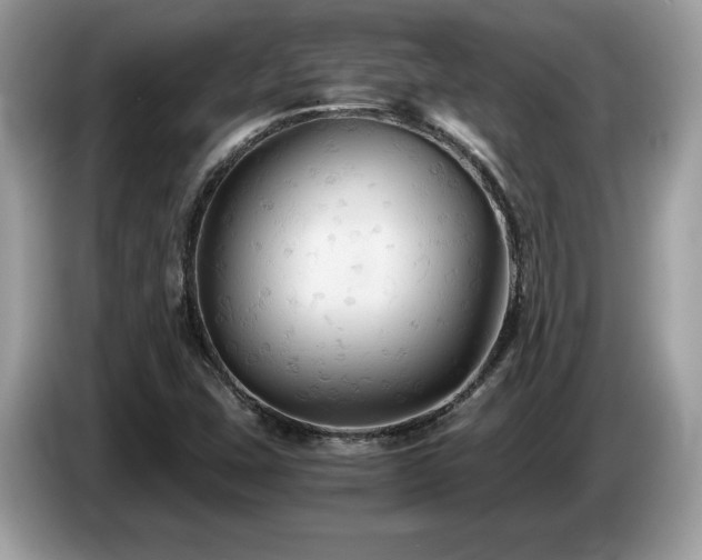 X0000087521407200704271132