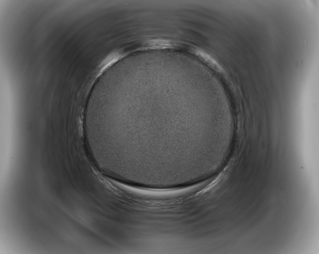 X0000087521409200704271132