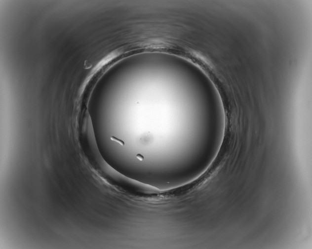 X0000087521410200704271132