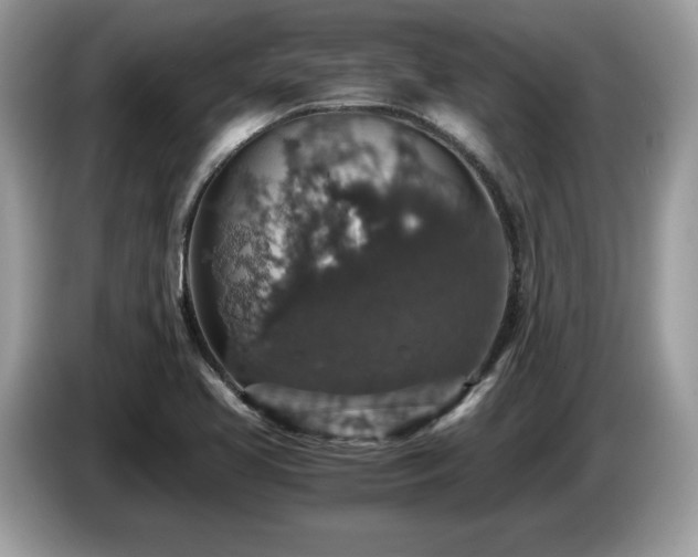 X0000087521413200704271132