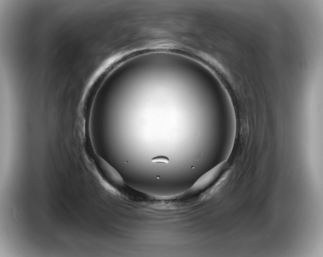 X0000087521414200704271132