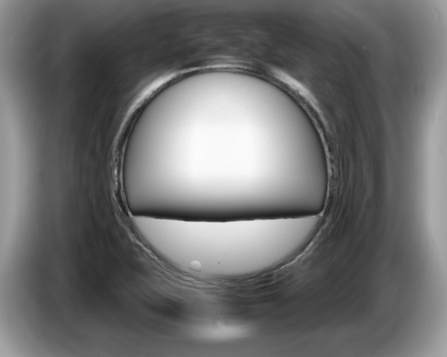 X0000087521415200704271132