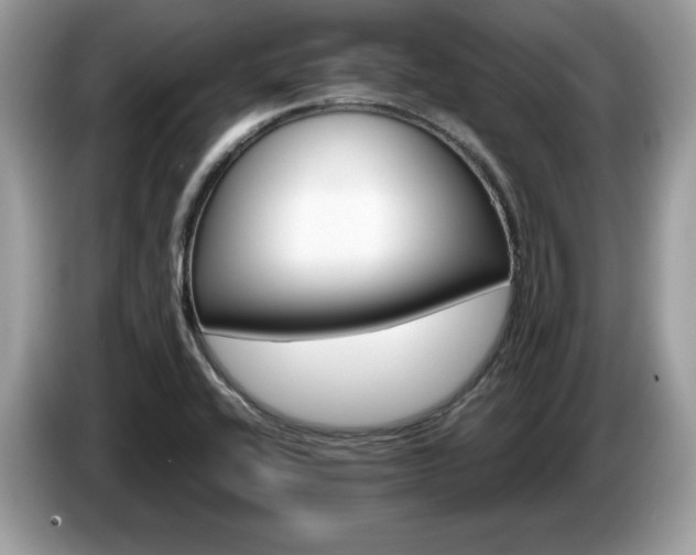 X0000087521416200704271132