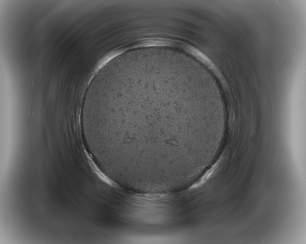 X0000087521417200704271132