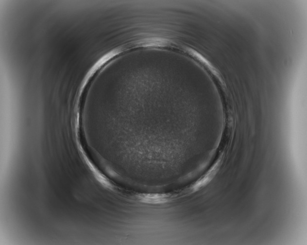 X0000087521418200704271132