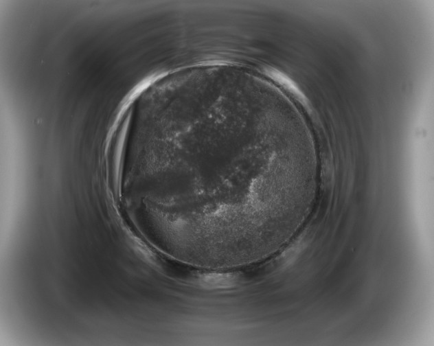 X0000087521419200704271132