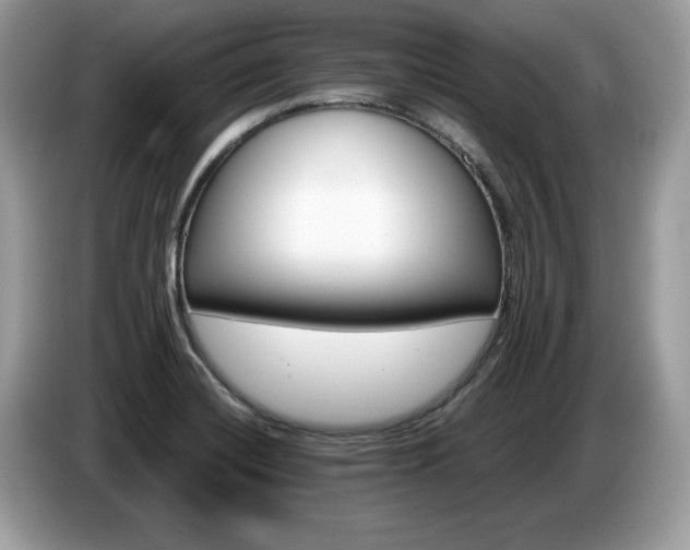 X0000087521420200704271132