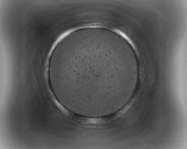 X0000087521421200704271132
