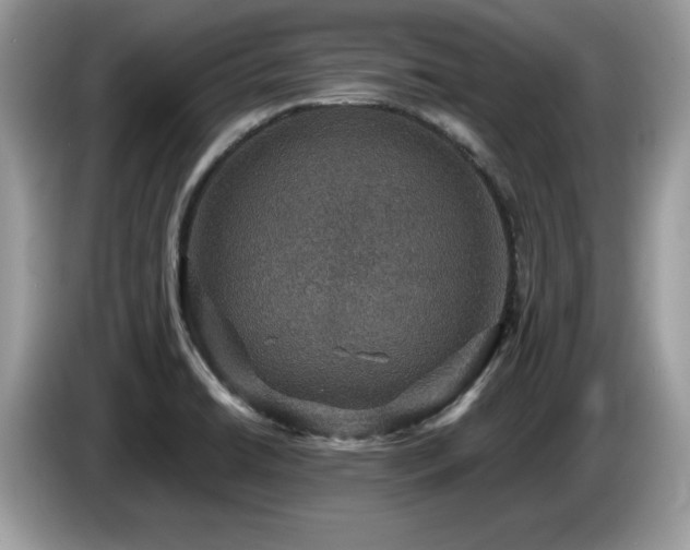 X0000087521422200704271132