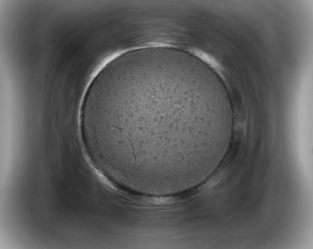 X0000087521423200704271132