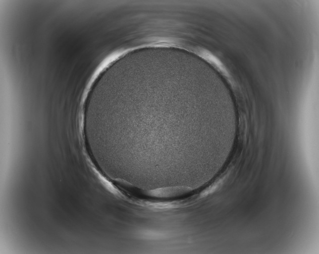X0000087521424200704271132