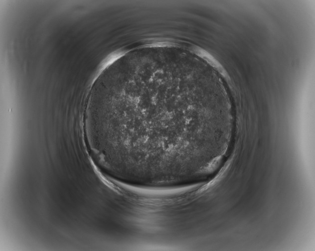 X0000087521425200704271132