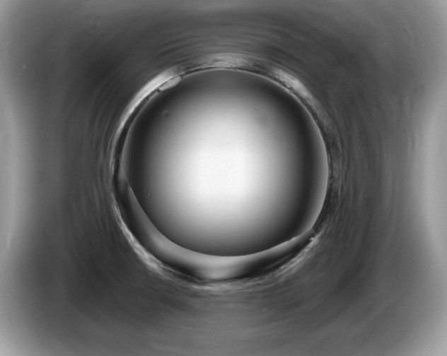 X0000087521426200704271132