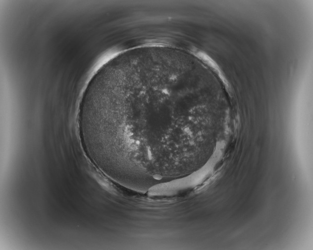 X0000087521427200704271132