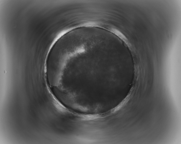 X0000087521428200704271132