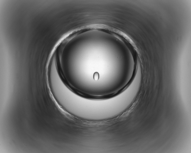 X0000087521430200704271132