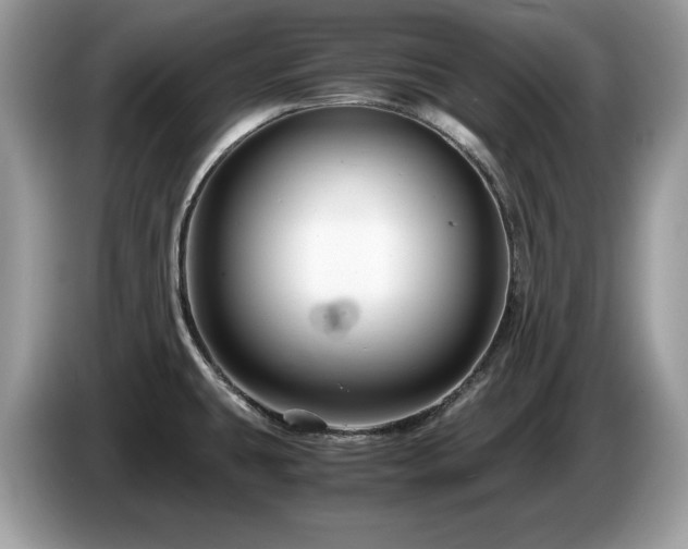 X0000087521431200704271132