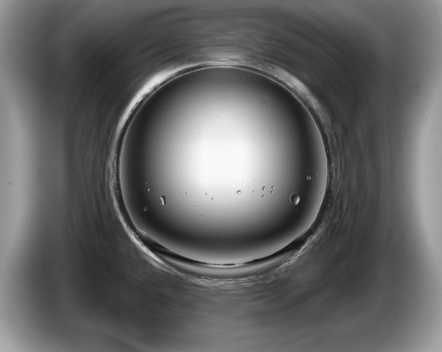 X0000087521432200704271132