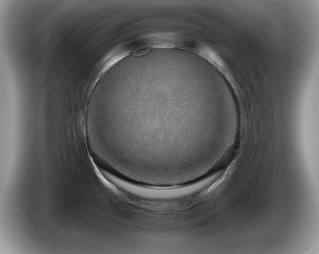 X0000087521433200704271132