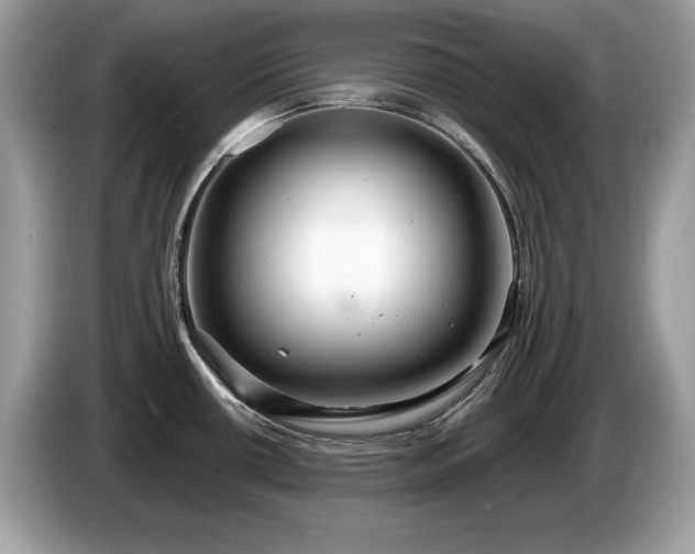 X0000087521434200704271132
