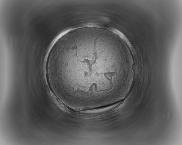 X0000087521435200704271132